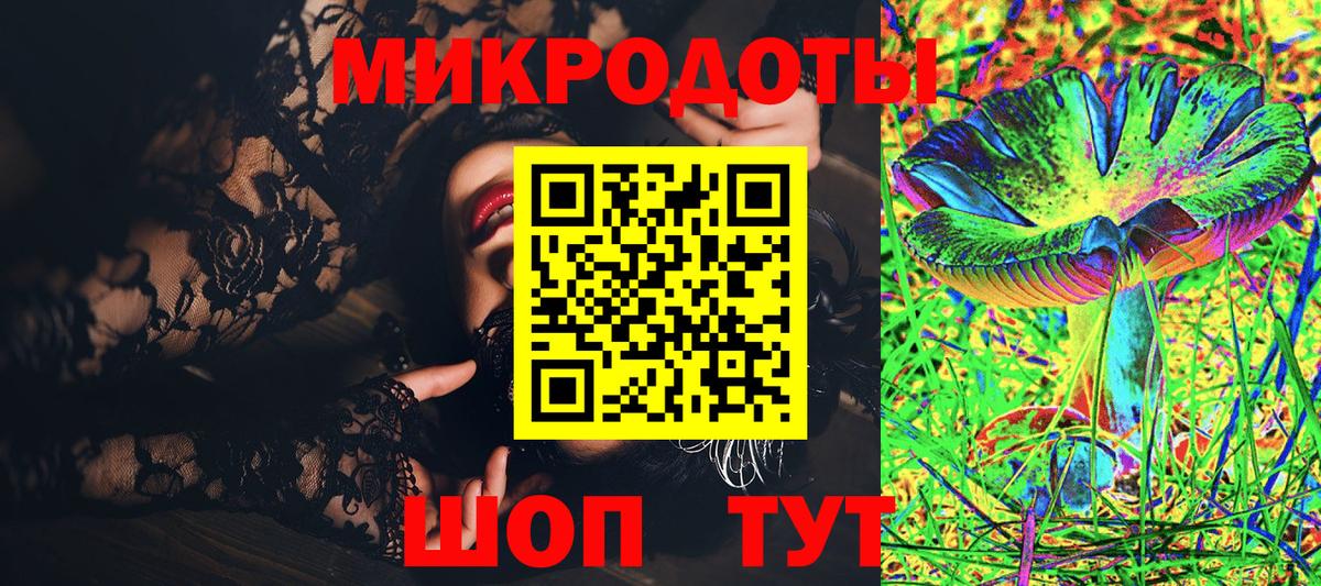 Галлюциногенные грибы Psilocybine cubensis Обнинск