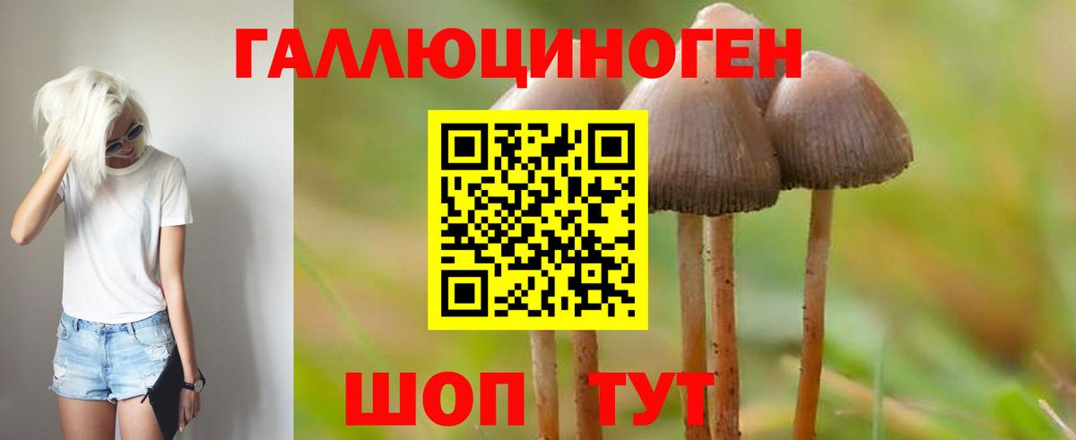 Галлюциногенные грибы Psilocybe  Вход с VPN  Обнинск 