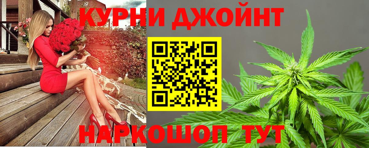 Каннабис сатива Обнинск